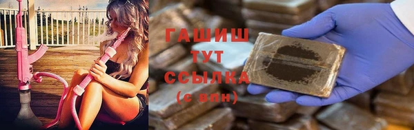 мдпв Бородино