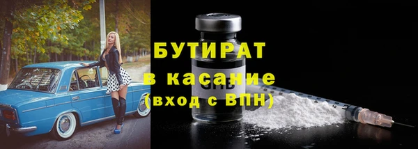 мдпв Бородино