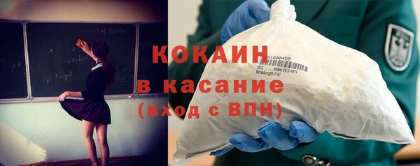 мдпв Бородино