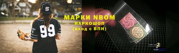 мдпв Бородино