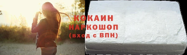 мдпв Бородино