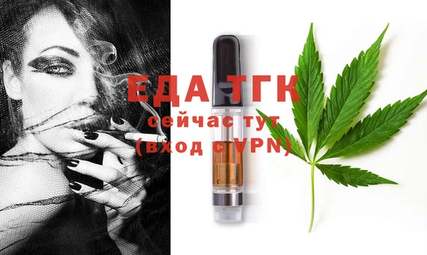 мдпв Бородино