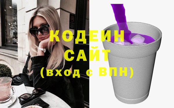 мдпв Бородино