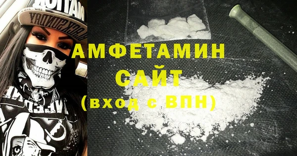 мдпв Бородино