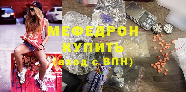 мдпв Бородино