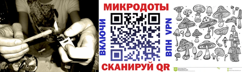 Галлюциногенные грибы Psilocybe  Каневская 